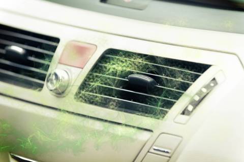 Frei durchatmen können: Probleme mit der Lüftung im Auto