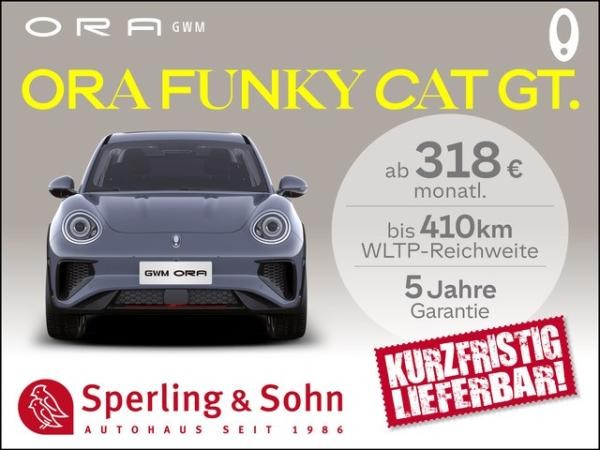 Ora Funky Cat