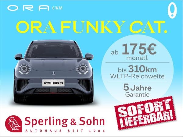Ora Funky Cat