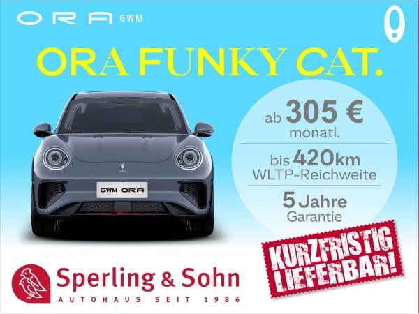 Ora Funky Cat