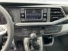 Volkswagen T6.1 Kasten