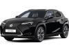 Lexus UX 300e