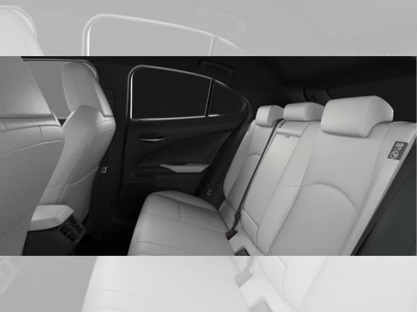 Lexus UX 300e