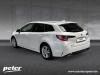 Suzuki Swace