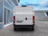 Toyota Proace Max