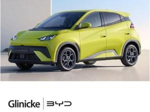 BYD DOLPHIN SURF