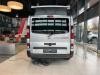 Dethleffs Globevan