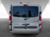 Dethleffs Globevan