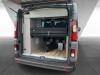 Dethleffs Globevan