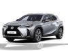 Lexus UX-300h