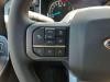 Ford F 150
