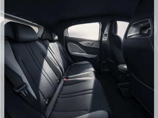 BYD DOLPHIN SURF