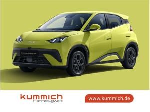 BYD DOLPHIN SURF