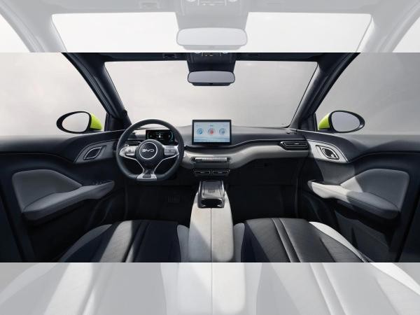 BYD DOLPHIN SURF