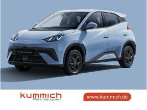 BYD DOLPHIN SURF