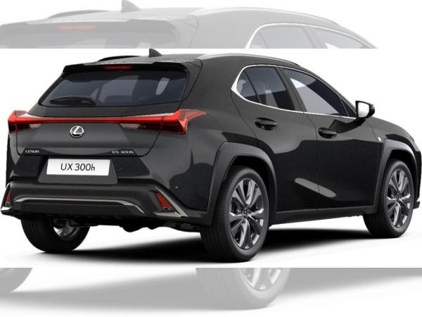 Lexus UX-300h