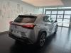 Lexus UX-300h