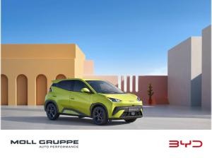 BYD DOLPHIN SURF