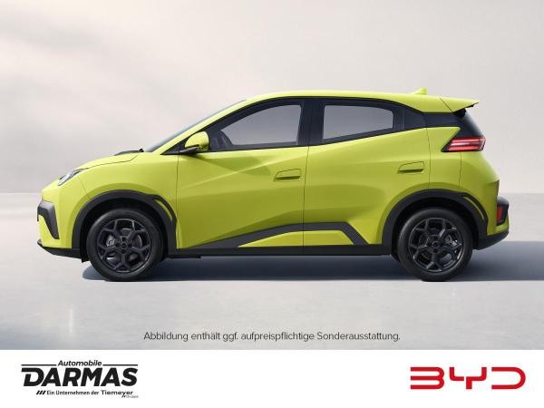 BYD DOLPHIN SURF