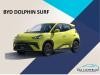 BYD DOLPHIN SURF