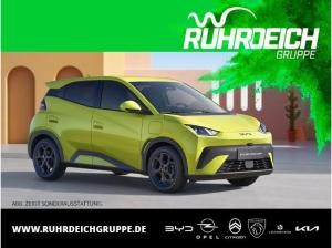 BYD DOLPHIN SURF