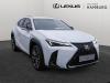 Lexus UX-300h