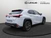 Lexus UX-300h