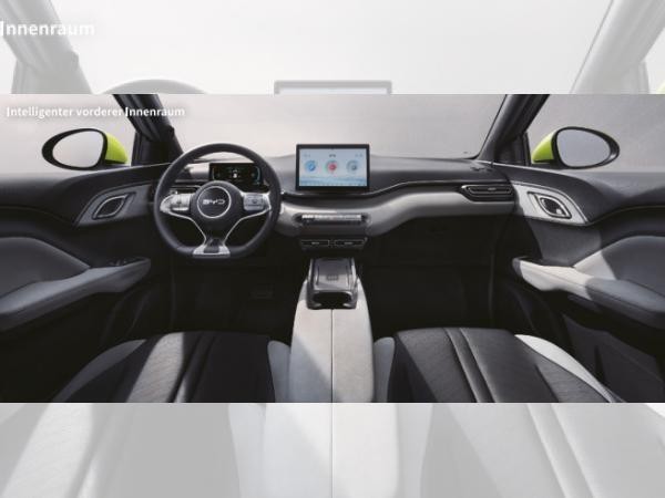 BYD DOLPHIN SURF