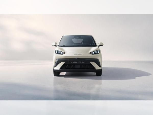 BYD DOLPHIN SURF