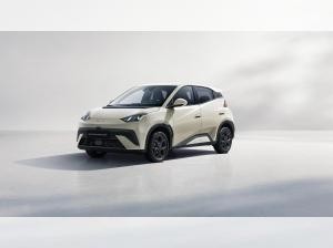 BYD DOLPHIN SURF