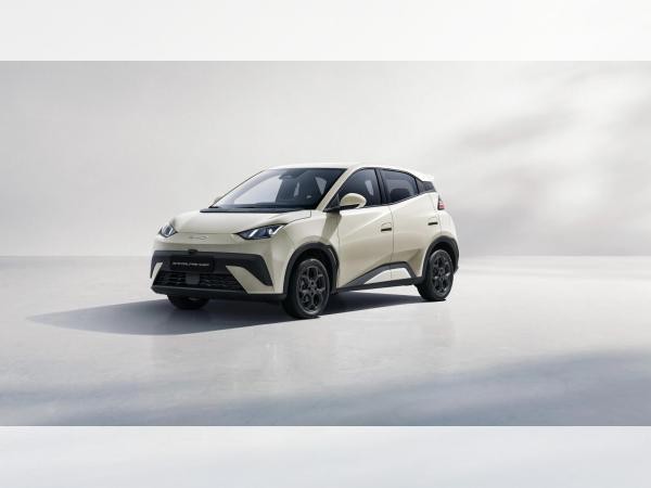 BYD DOLPHIN SURF