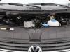 Volkswagen T6.1