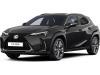 Lexus UX-300h