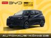 BYD DOLPHIN SURF