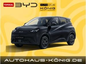 BYD DOLPHIN SURF