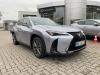 Lexus UX-300h