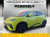 BYD DOLPHIN SURF
