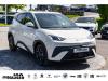 BYD DOLPHIN SURF