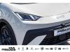 BYD DOLPHIN SURF