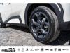 BYD DOLPHIN SURF