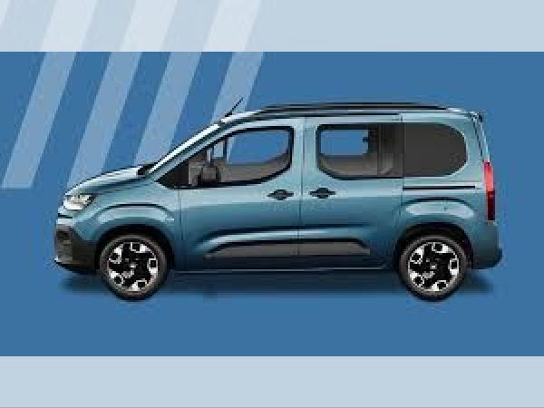 Fiat Qubo L