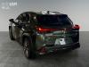 Lexus UX-300h