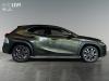 Lexus UX-300h