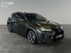 Lexus UX-300h