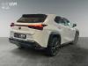 Lexus UX-300h