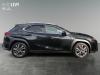 Lexus UX-300h