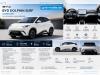 BYD DOLPHIN SURF