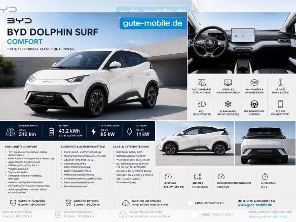 BYD DOLPHIN SURF