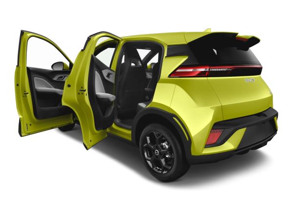 BYD DOLPHIN SURF