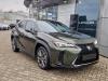 Lexus UX-300h